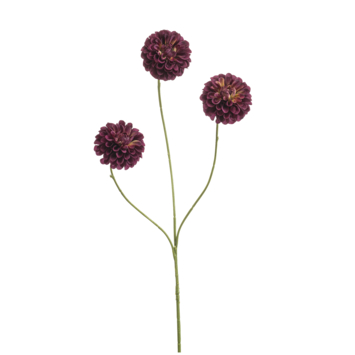 Dahlia pompom mini burgundy 68cm