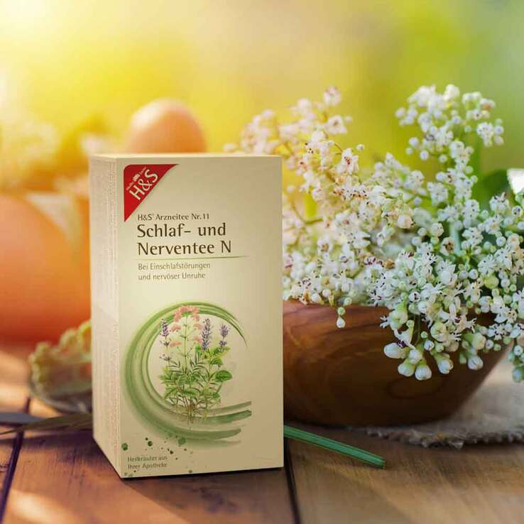 H&S® Schlaf- und Nerventee N Filterbeutel, 20X2.0 g