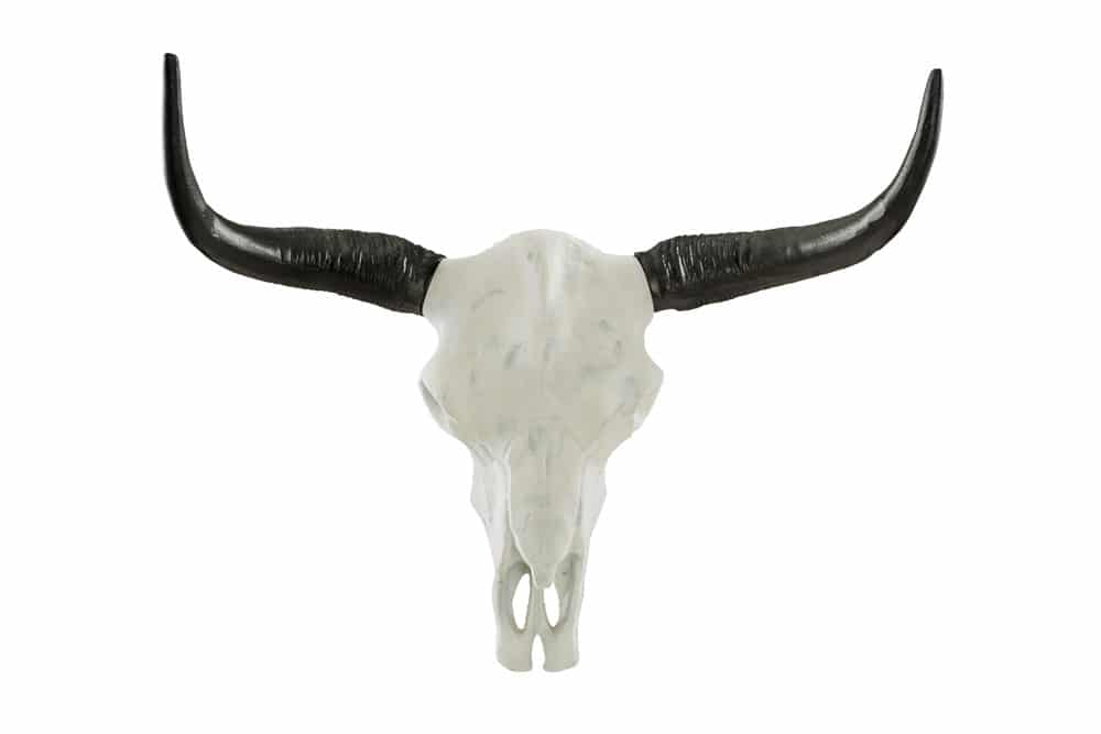 Imposanter Büffelschädel EL TORO 70cm natur massives Aluminium