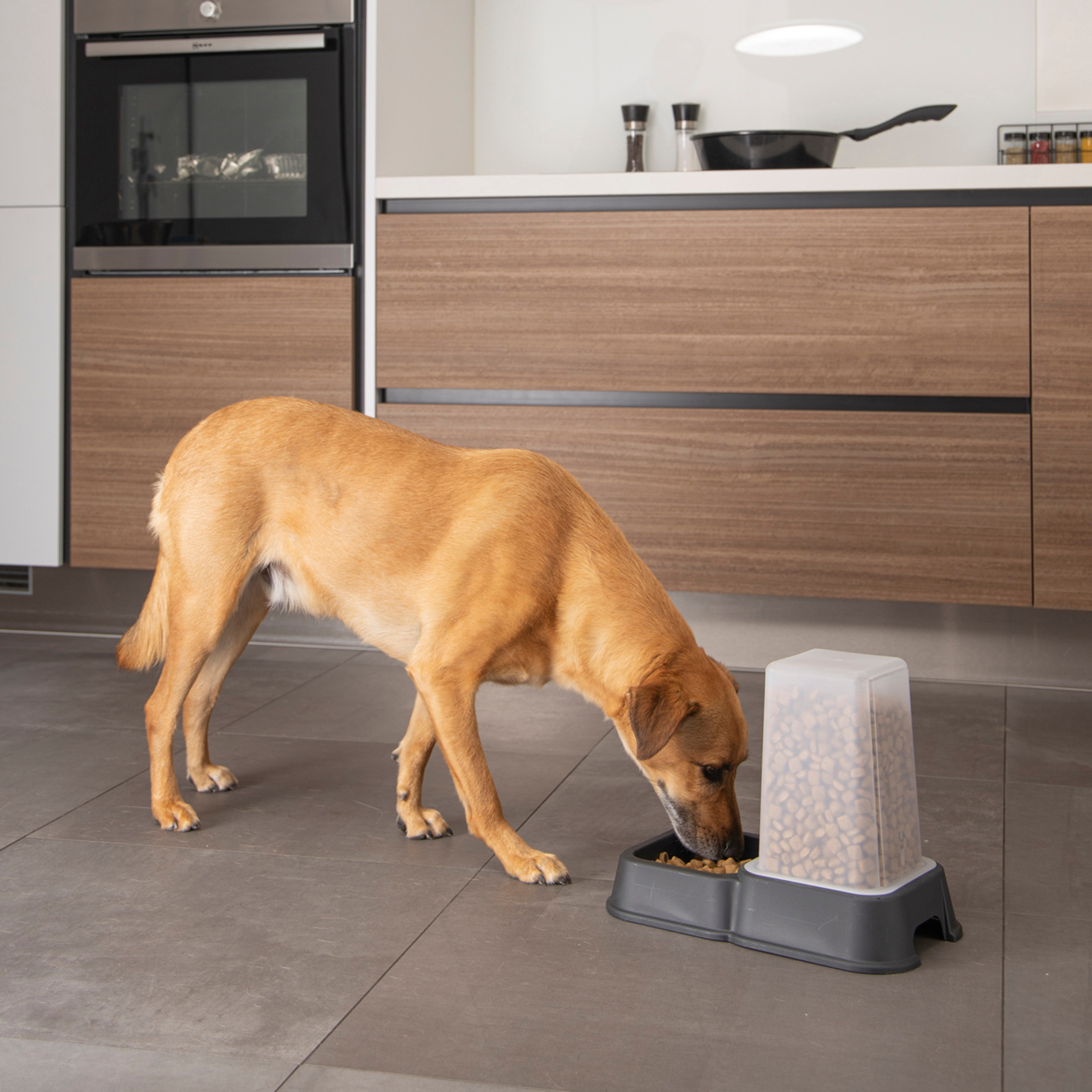 Distributeur d'eau et de croquettes pour chien et chat