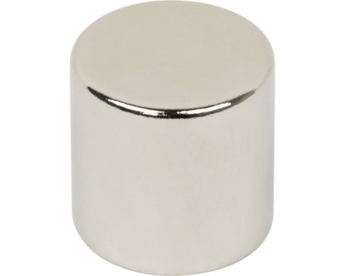 Neodymium schijfmagneet Ø 10x10 mm, 6 st.