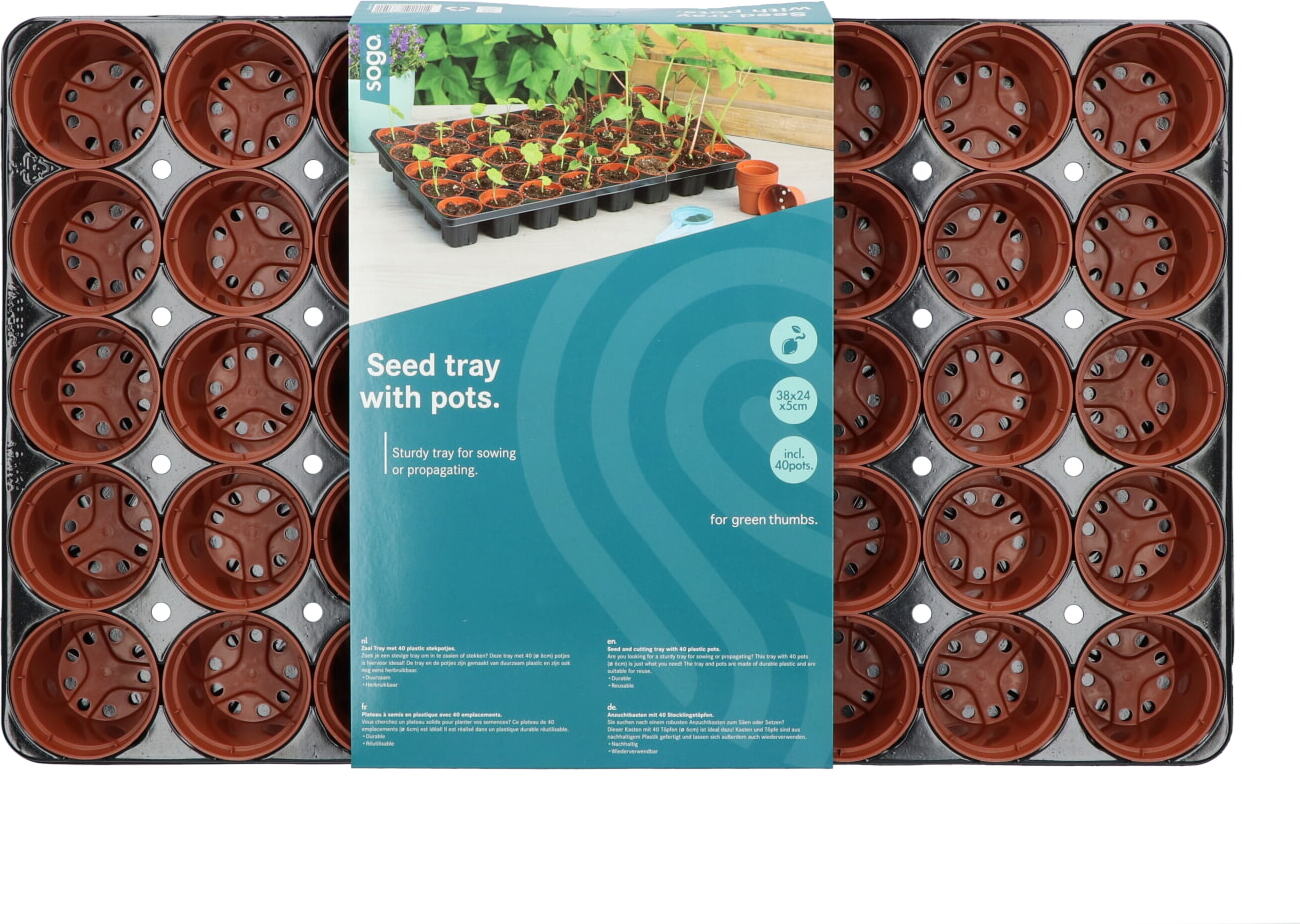 SOGO tray met 40 kweekpotjes50 x 30 x 5 cm