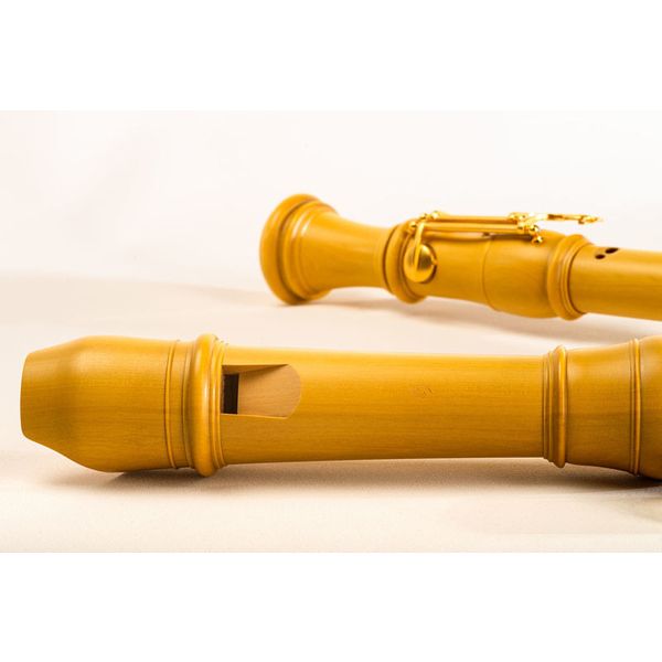 Mollenhauer 5432 Denner Tenor with Key