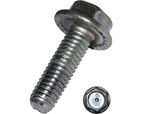 Borgschroef zonder schacht M5x12 mm, verzinkt en getemperd, 50 stuks