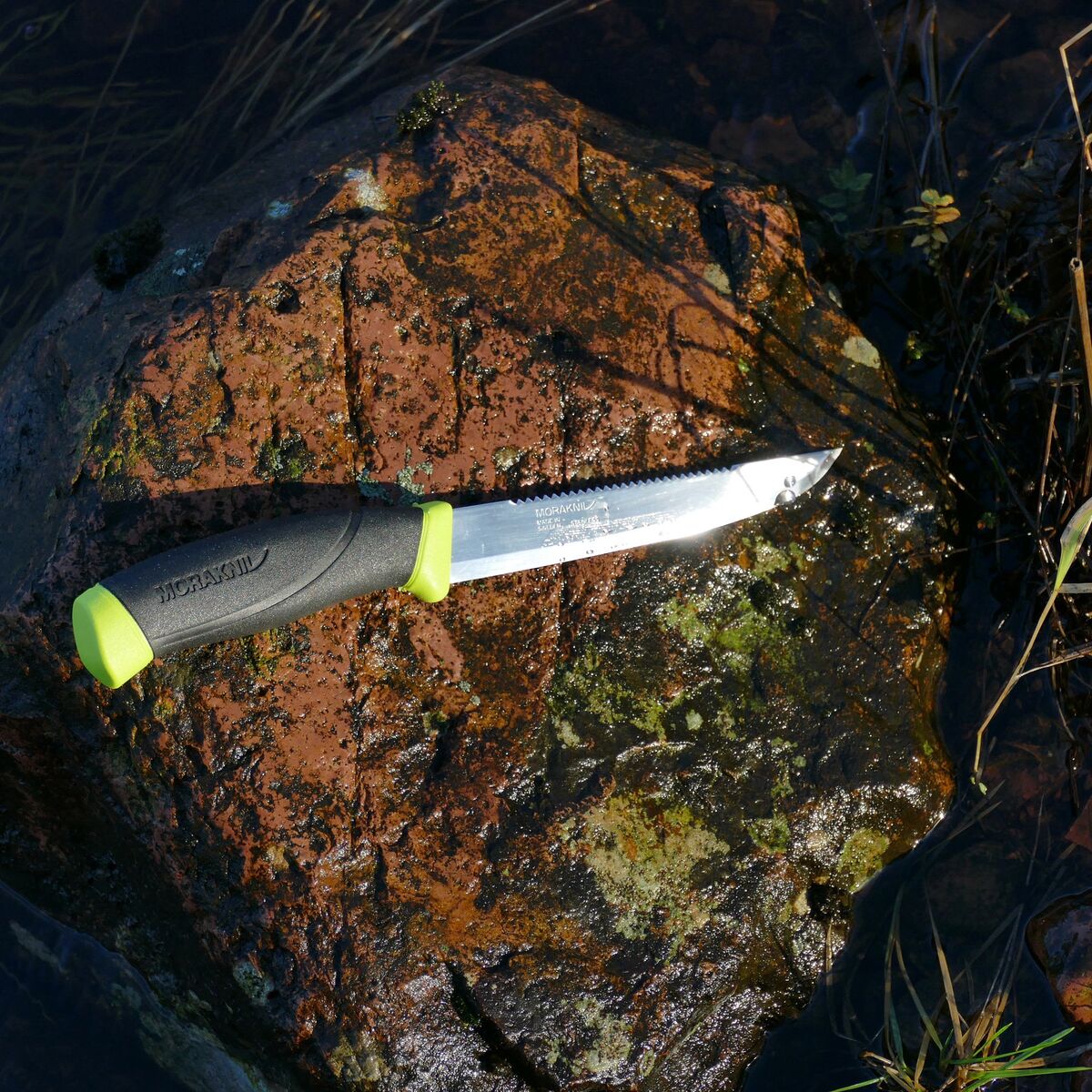 Companion Fishing Scaler 150 (S)