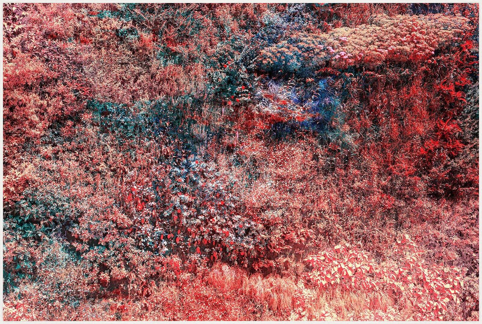 Wall of Nature XXI by Viet Ha Tran - Limited Edition. Edition of: 150. Signed.