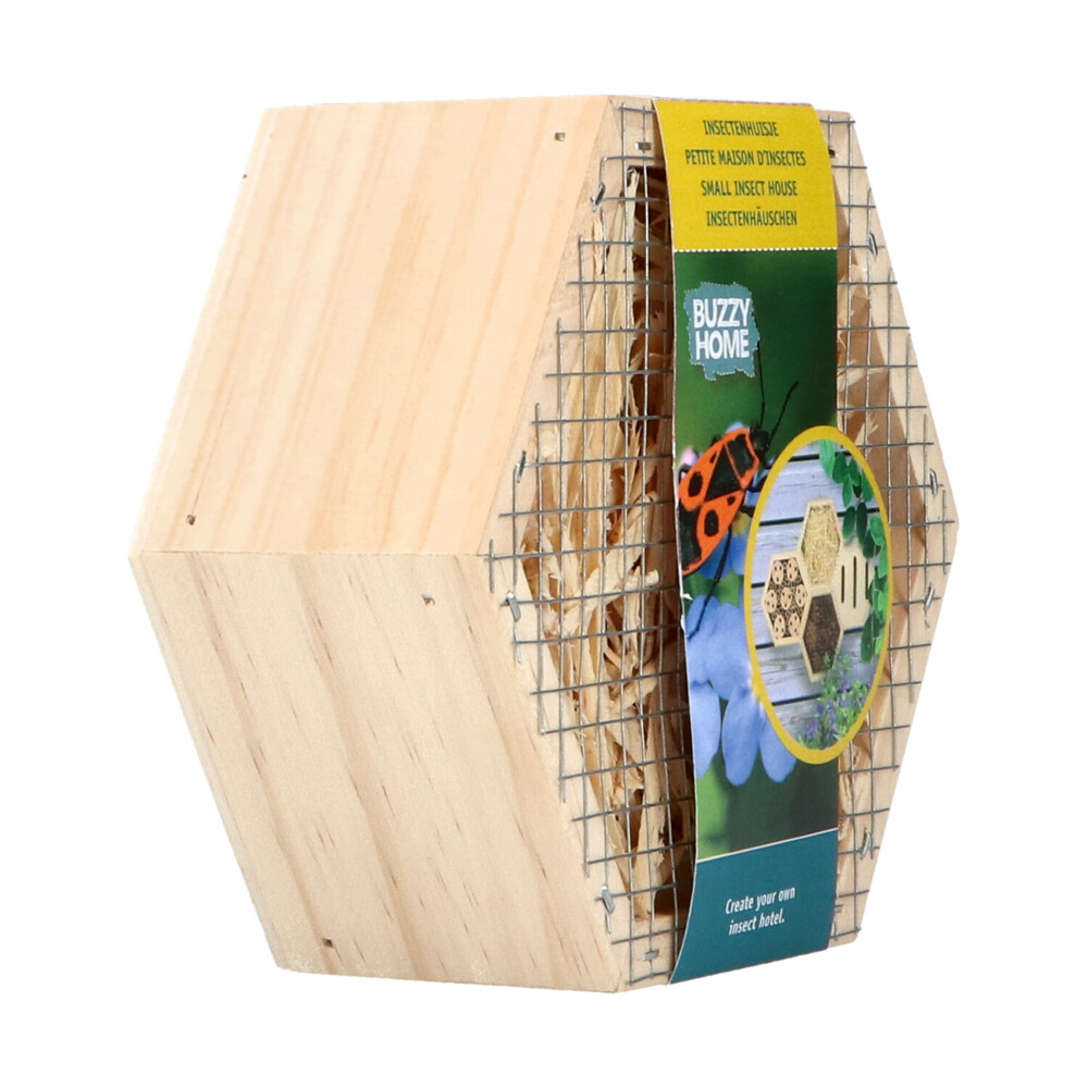 Bûten Home Insectenkast Hexagon Insecten
