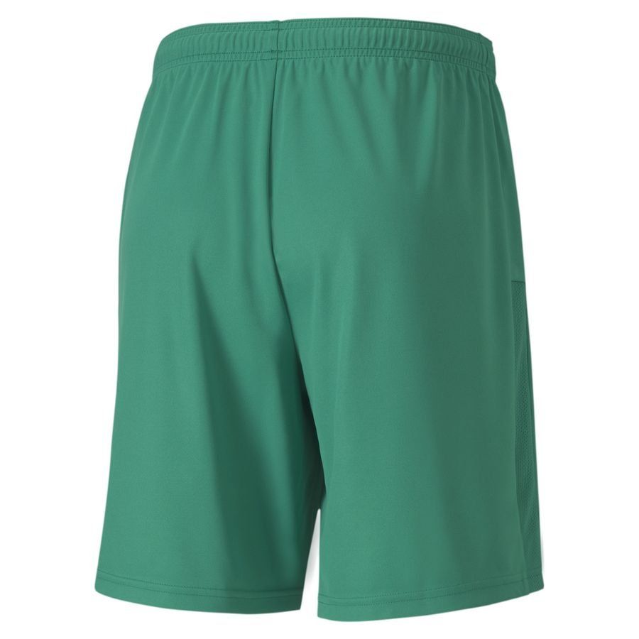 PUMA Short de Foot teamGOAL 23 - Vert