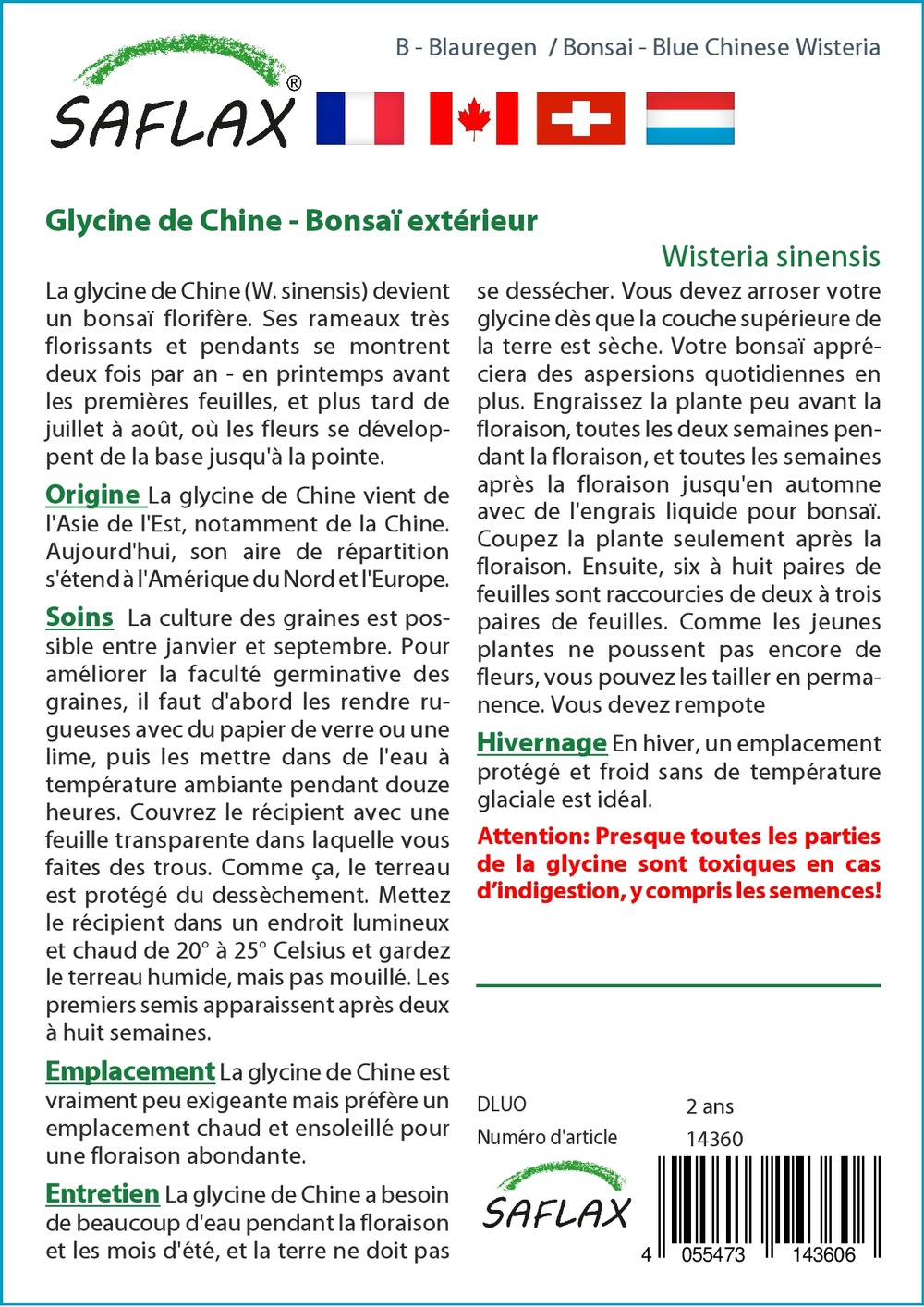Glycine de chine - 4 graines - wisteria sinensis