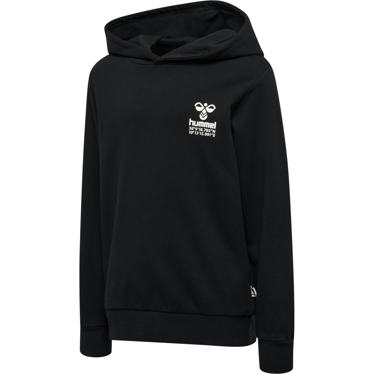 hmlGLOBAL HOODIE