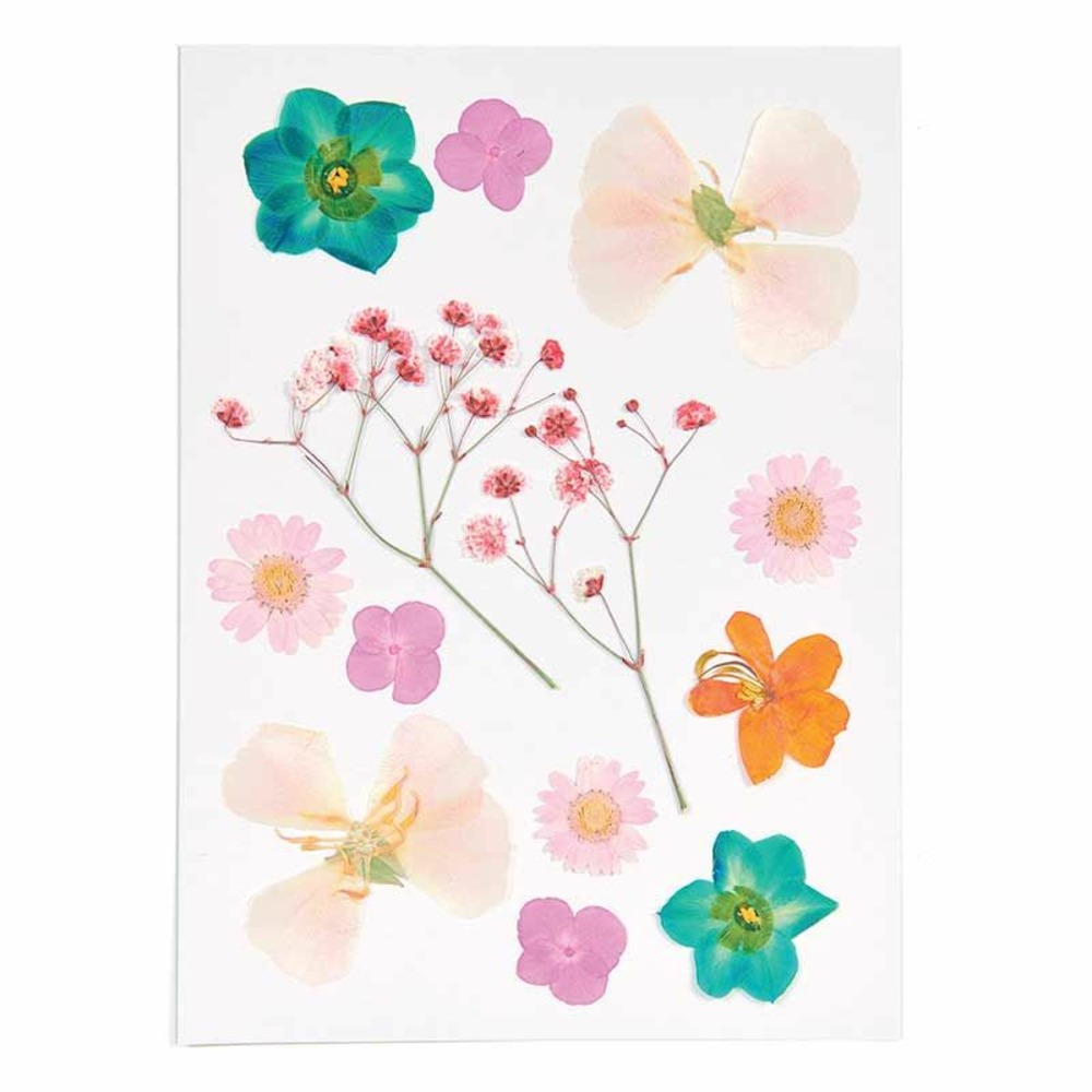 Fleurs séchées et pressées - orange et turquoise