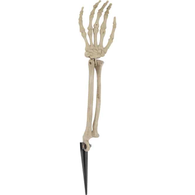 Skelett-Arm - ca. 37 x 9 x 5 cm