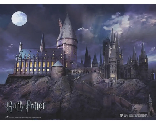 Decoratiepaneel Harry Potter 90x60 cm