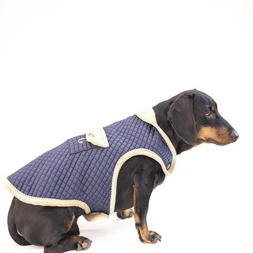 Jaqueta reversível para cães Gaston, azul