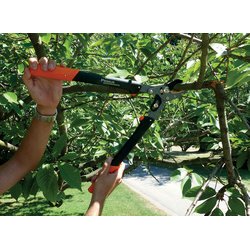 Coupe-branches pour dames, longueur : 470 mm