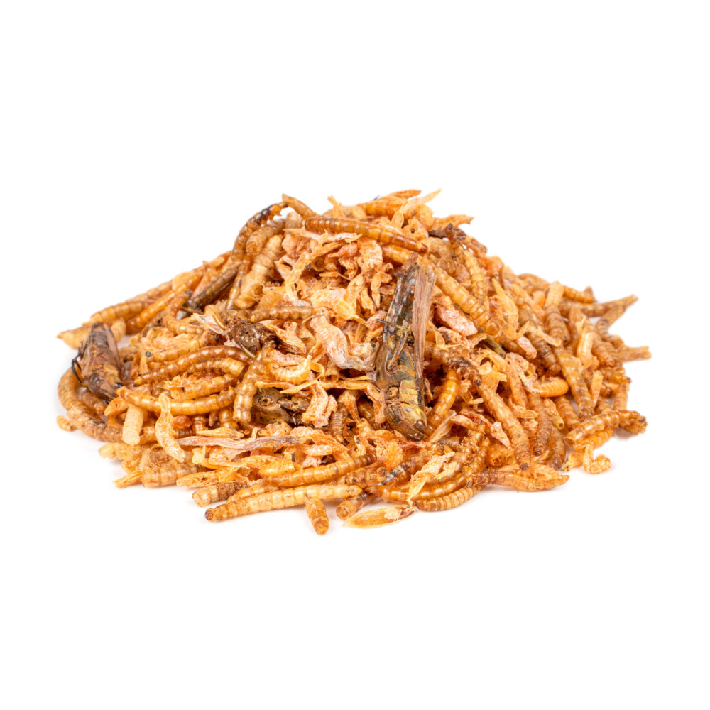 Deli Nature Chix Insectenmix180 gr