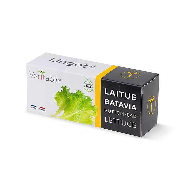 Lingot® Laitue batavia Bio pour potager Véritable®