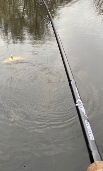 Canne à appât mort Patriot Ace Deadbait 12ft/3.64m (2.75lb)