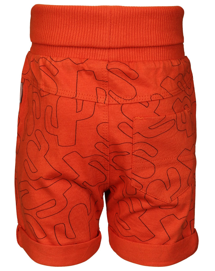 Jersey-Shorts WILDLIFE in orange