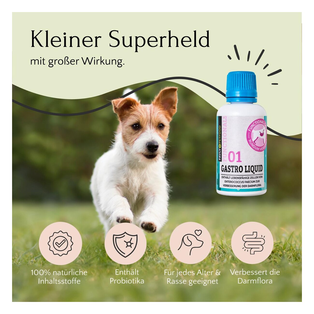 FAVLY Petfood GASTRO Liquid 30 g