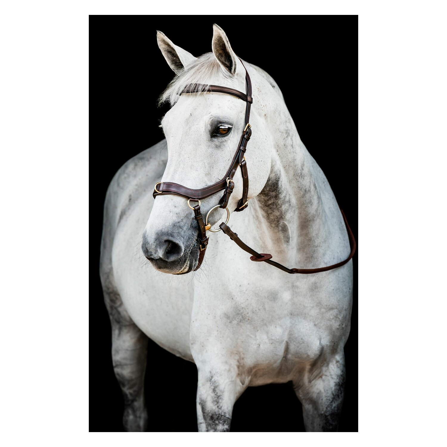 HORSEWARE Micklem 2 Multi Bridle  - dark havanna