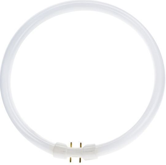 MASTER - TL5C Circulair - 55W - 30cm - Koel Wit