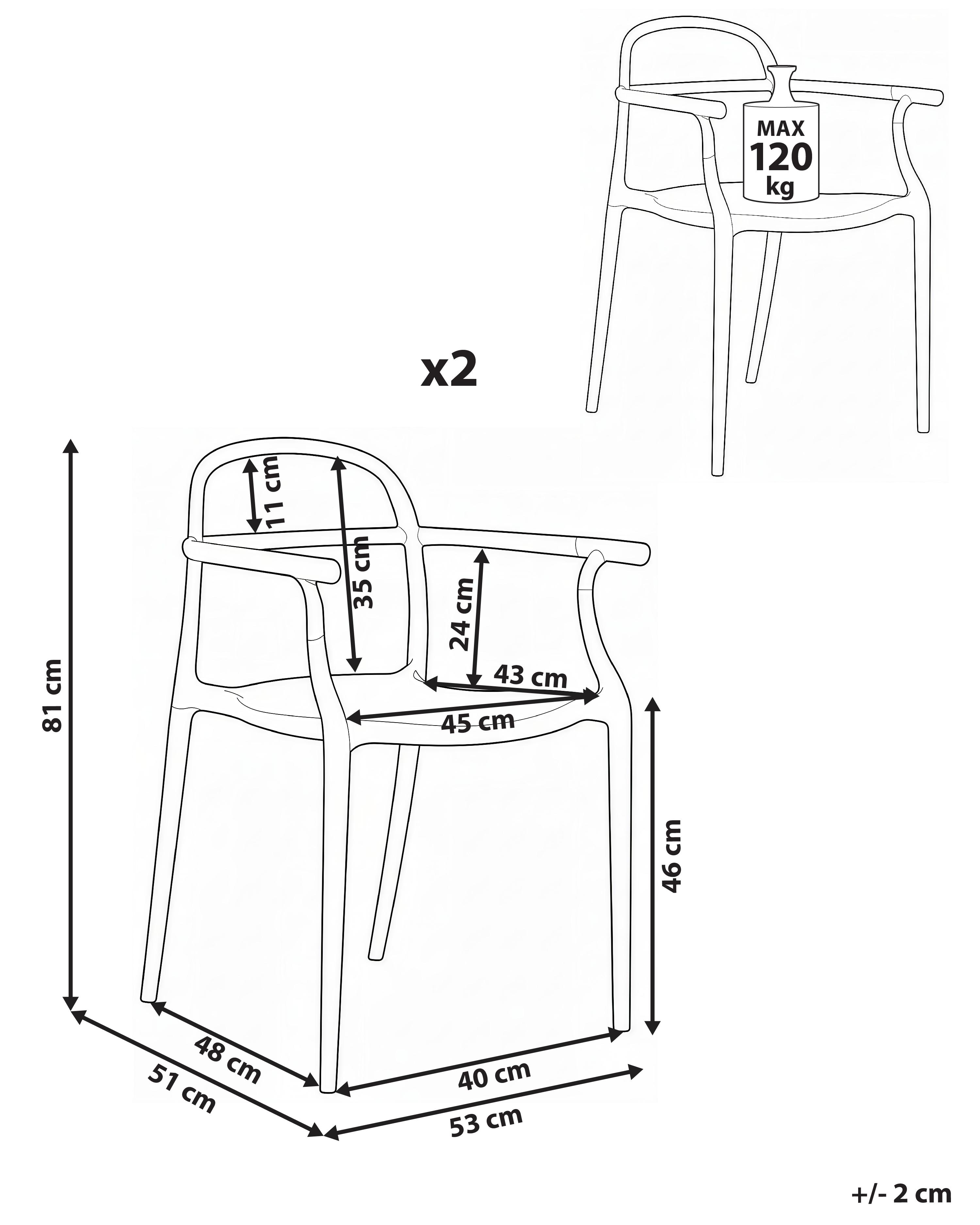 Set van 2 tuinstoelen VIDOR Zwart