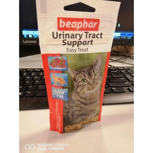 Petiscos benéficos para o trato urinário e cistite em gatos.