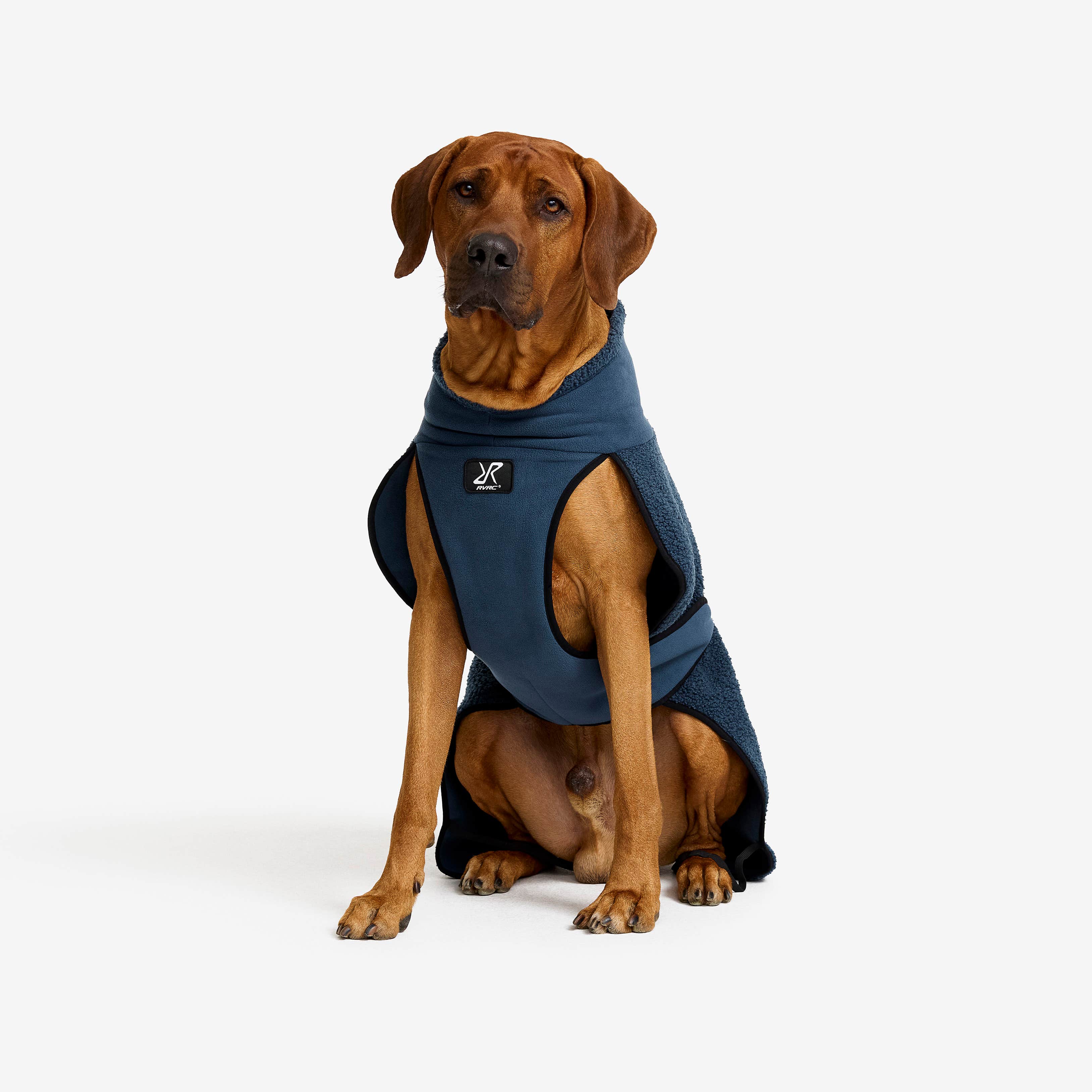 Bigfoot Dog Jacket Hund Moonlit Ocean