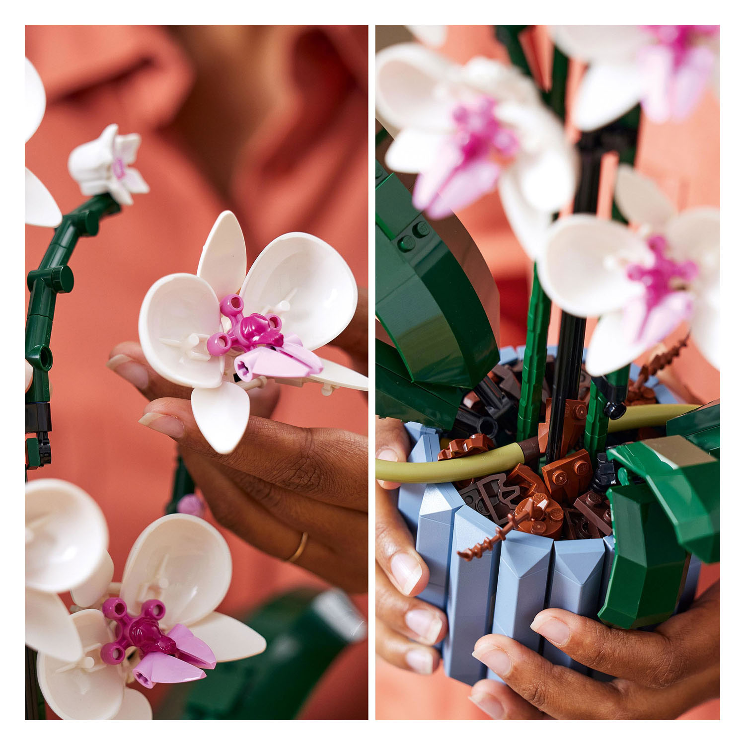 LEGO ICONS 10311 Orchidee