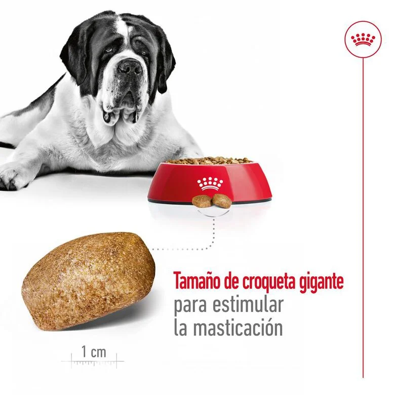 Ração Royal Canin Giant Adult para cães