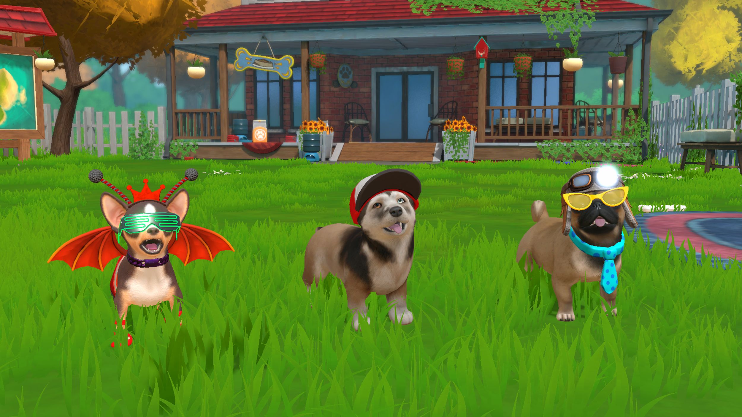 Litlle Friends Puppy Island - Die Insel der Welpen