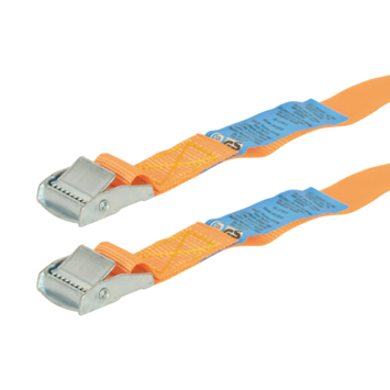 Carpoint Spanbanden 2 x 4,5 meter