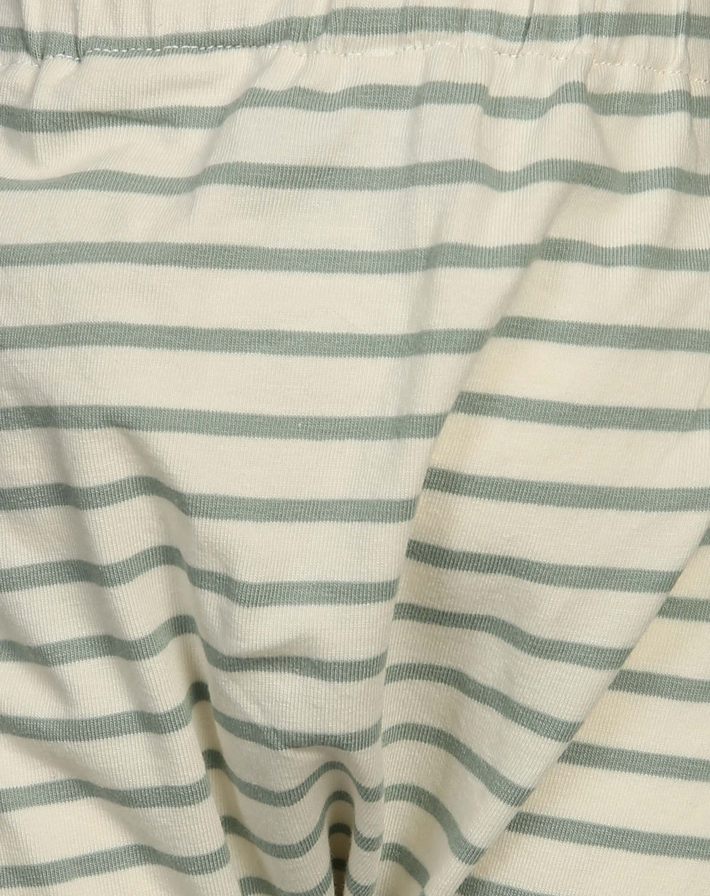 Shorts HALVOR in jade green