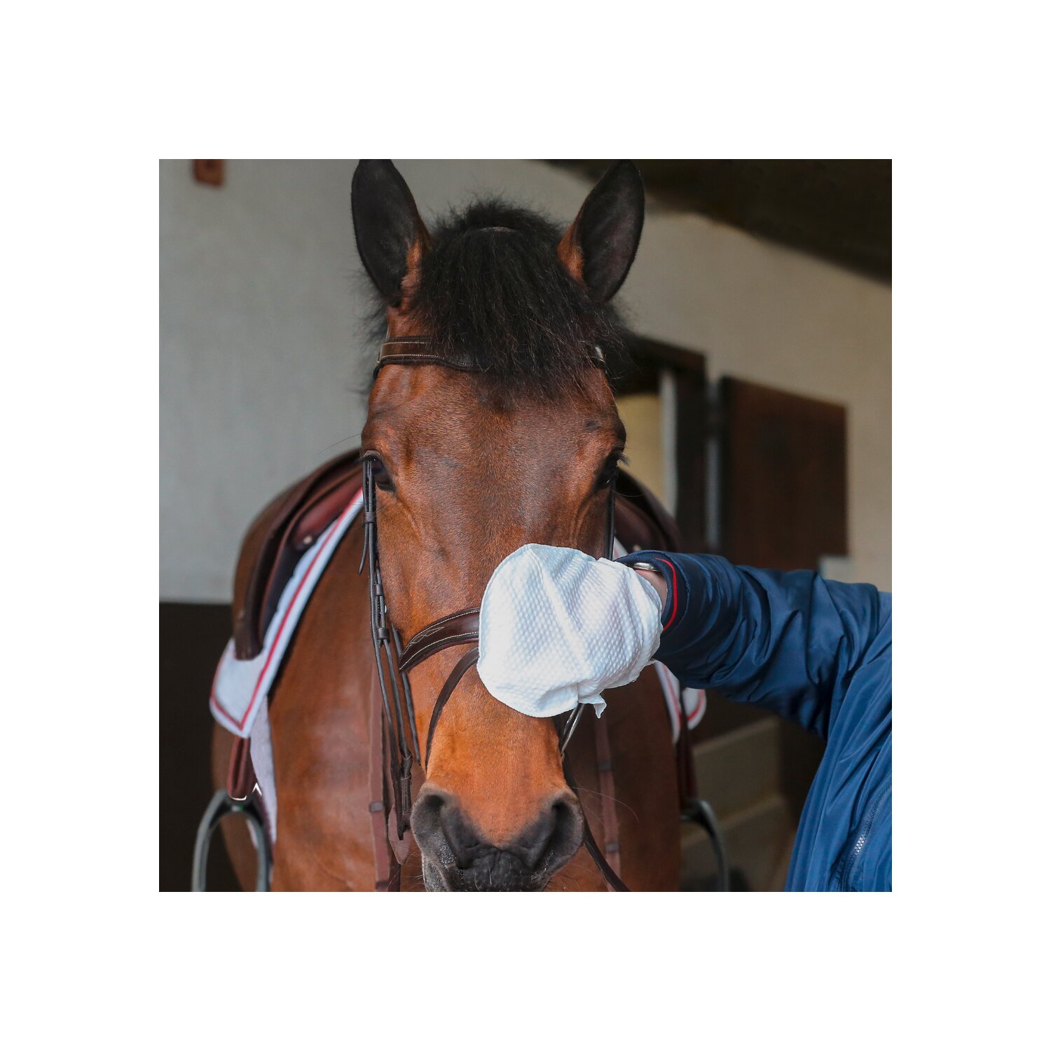 Carr & Day & Martin Belvoir Lederreinigungs-Handschuhe  - 10