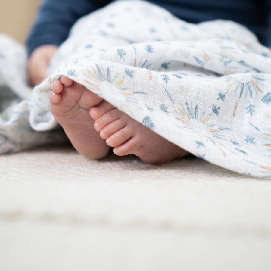 aden+anais™ Musslin Pucktuch 2er-Pack Harmony