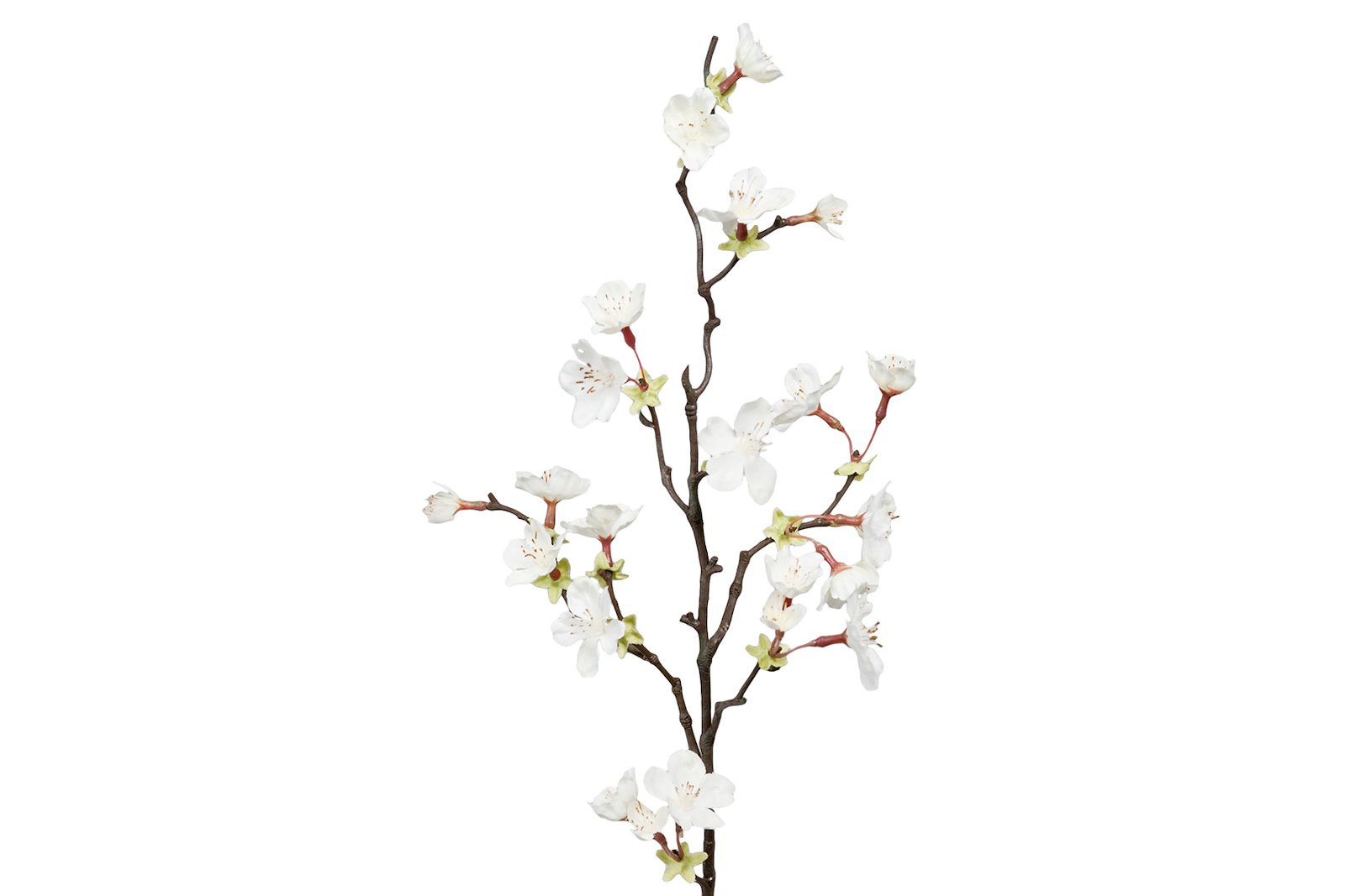 Kirsebærblomst kvist Grønn/hvit. H60 cm