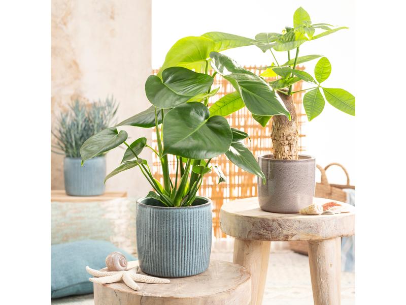 scheurich Blumentopf Lagoon Solido Linea 19.3 cm, Blau Übertopf