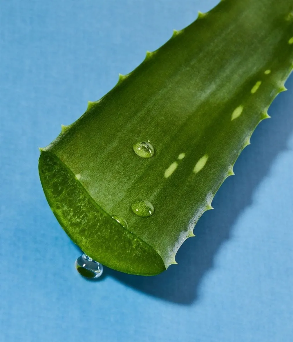 DÉODORANT FEMME BILLE NATURALLY GOOD ALOE VERA BIO