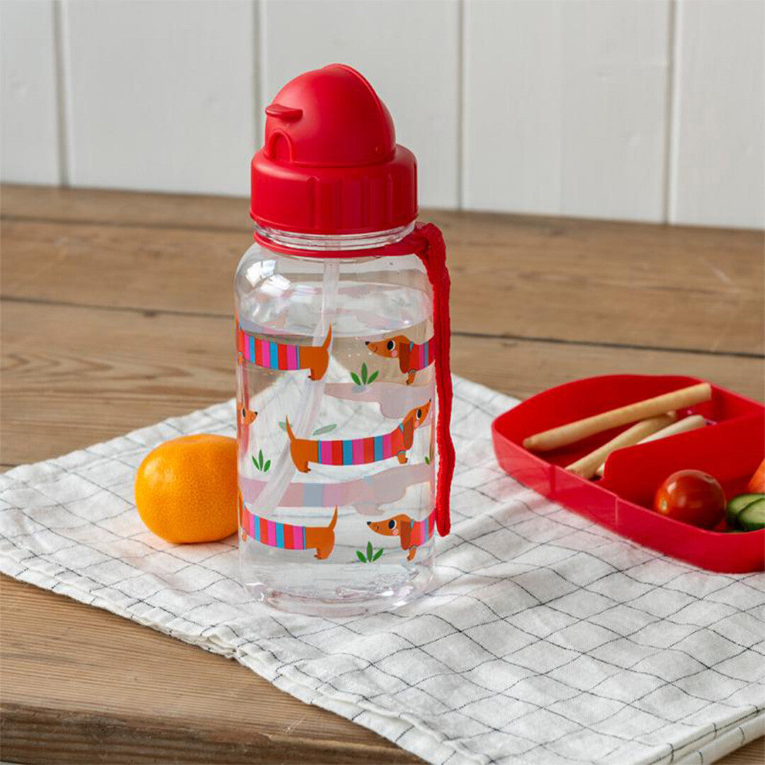 Rex london drinkfles met rietje - sausage dog