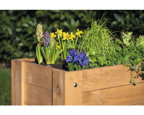 Verhoogd tuinbed op palen dobar 80,3 x 40 x 78,4 cm bruin
