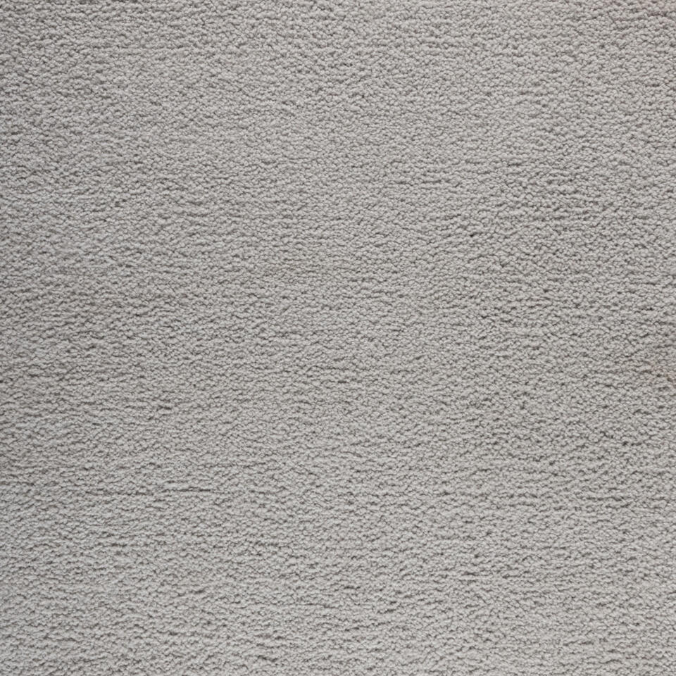 Vloerkleed Teddy Taupe 160x230 cm