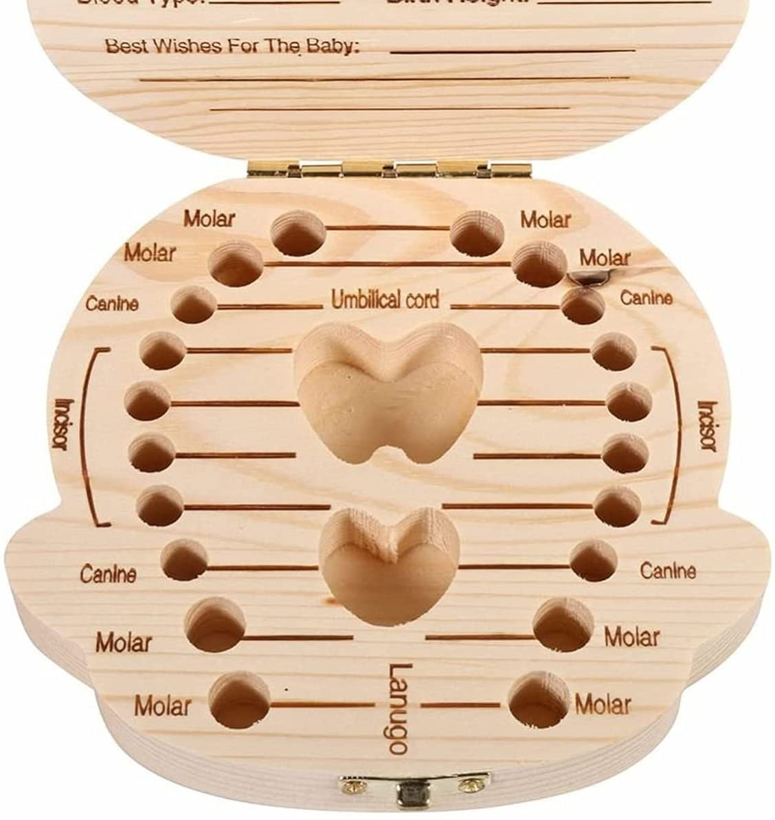 Holz Kinder Milchzahn Schatulle Zähnchen Aufbewahrungsbox mit Innengravur - Junge