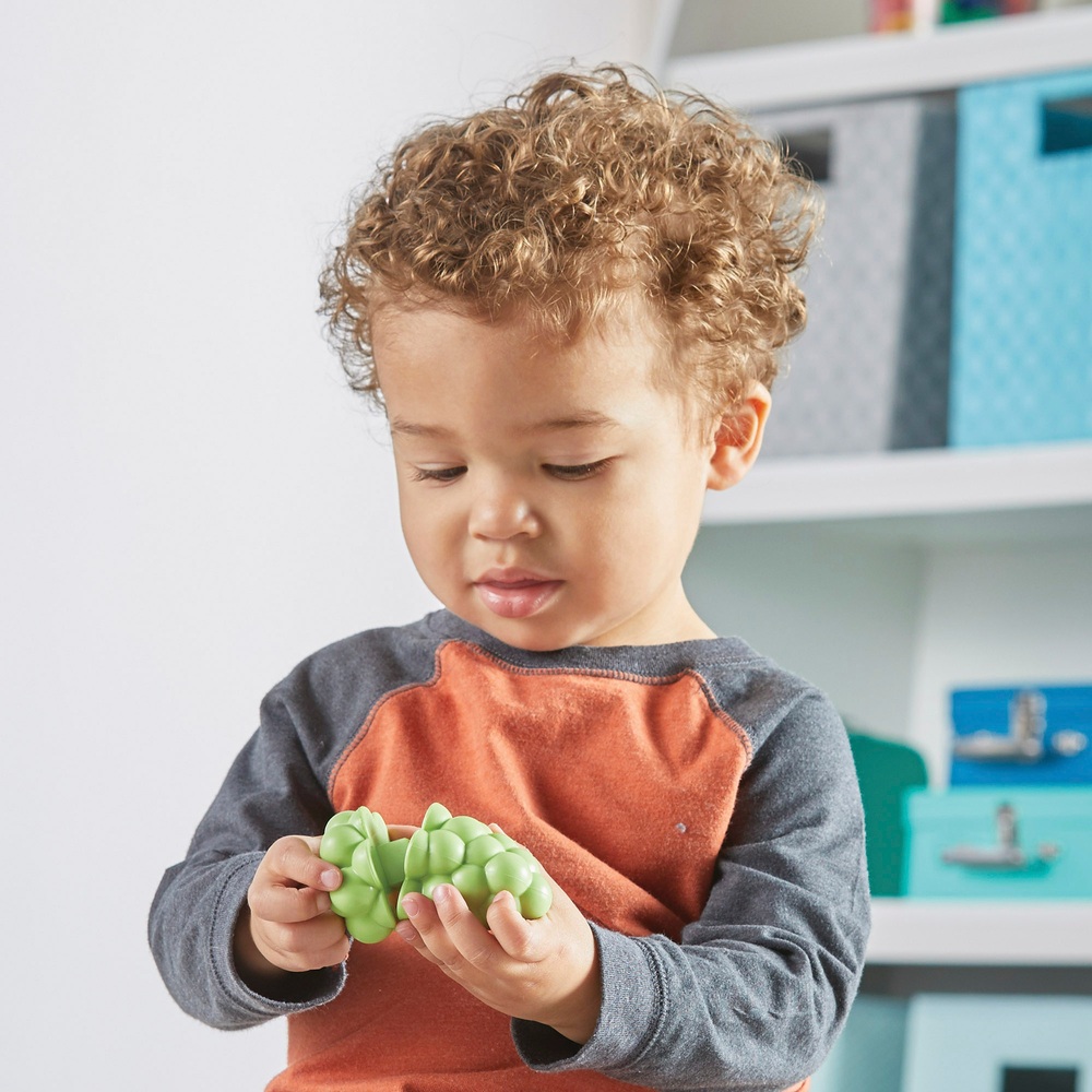 Lernmaterialien Snap-N-Learn Fruchtformen Spielzeugessen