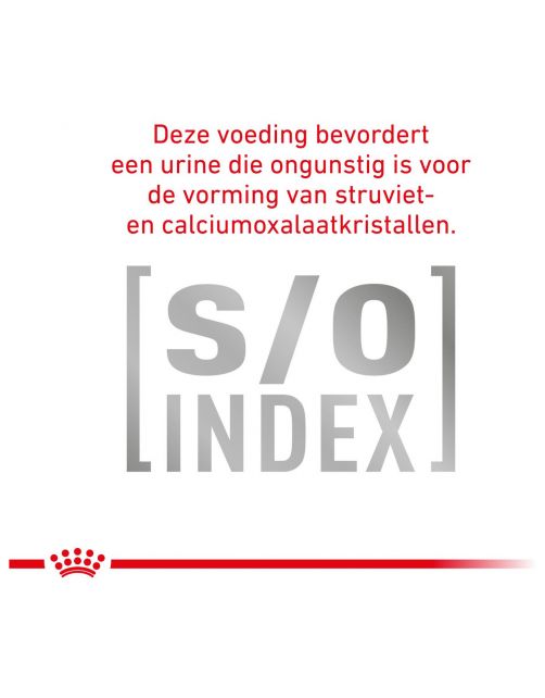 Royal Canin Veterinary Diet Early Renal - Kattenvoer - 85 g