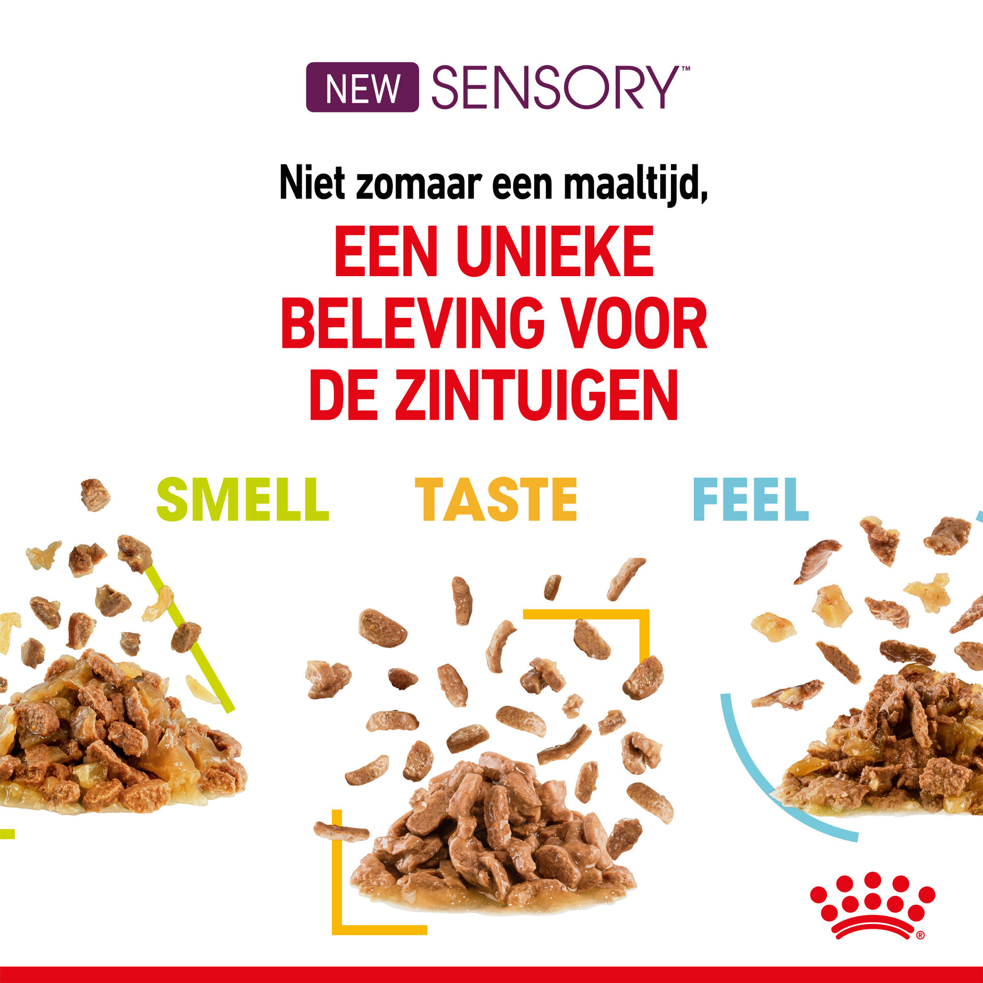 Royal Canin FHN Sensory Feel In Gravy