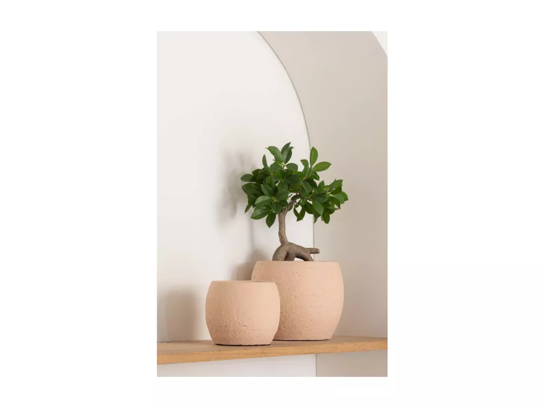 Cache-Pot en Céramique 