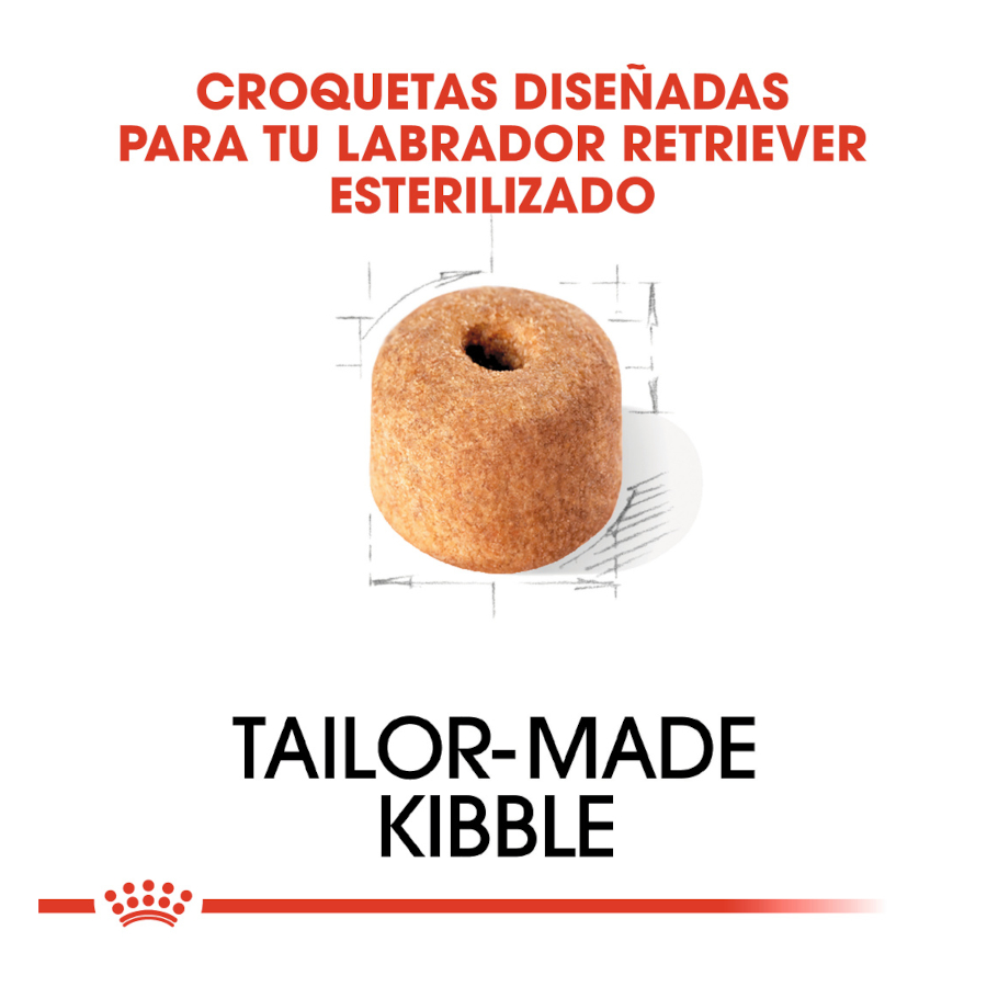Ração esterilizada Royal Canin para cães adultos da raça Labrador.