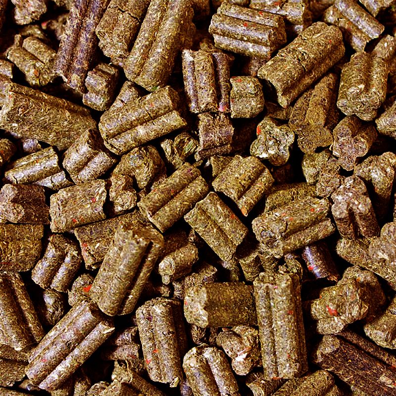 JR Farm Grainless Complete, lapin nain