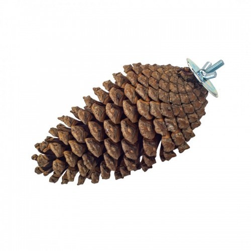 Abacaxi com suporte para papagaio, marrom